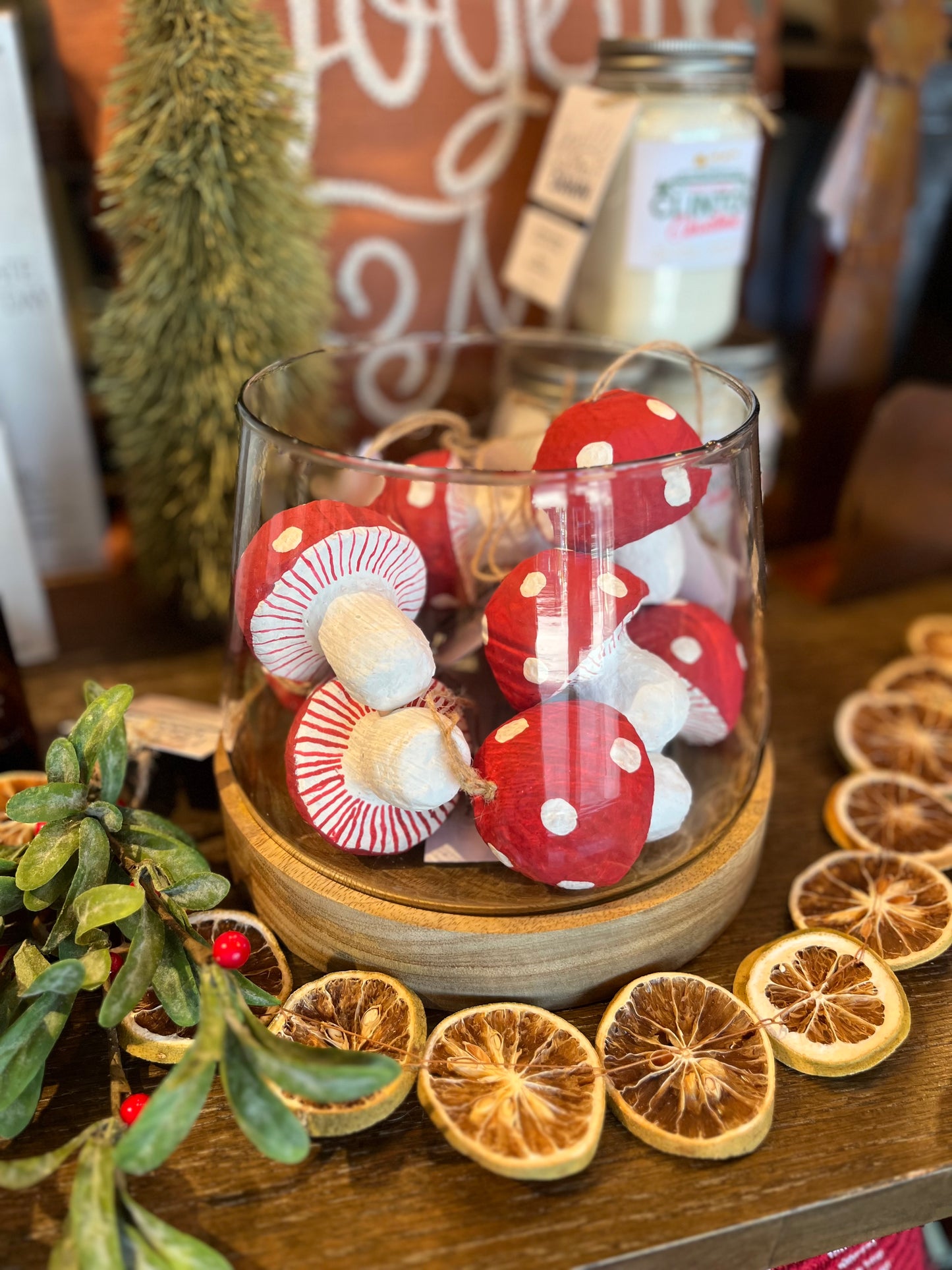 Dried Orange Slice Garland