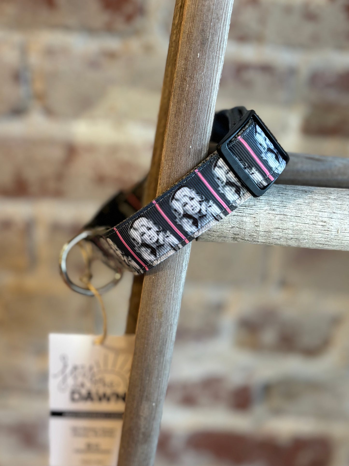 Dolly Parton WIDE Pet Collar