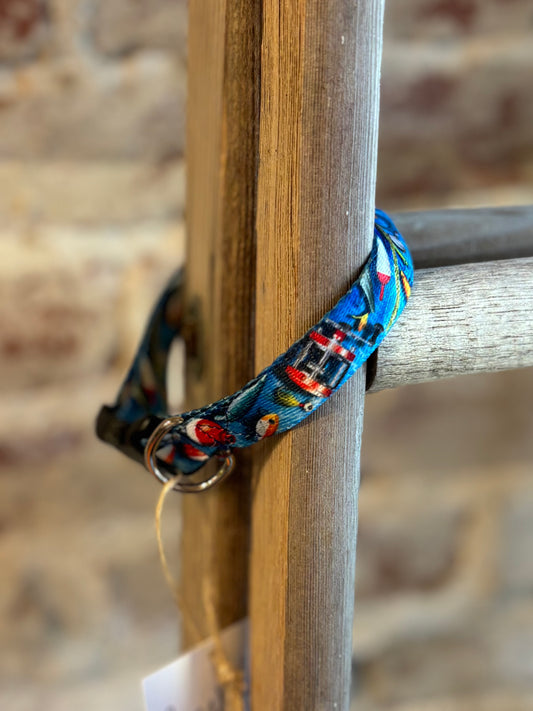 Fishing Lure Narrow Pet Collar