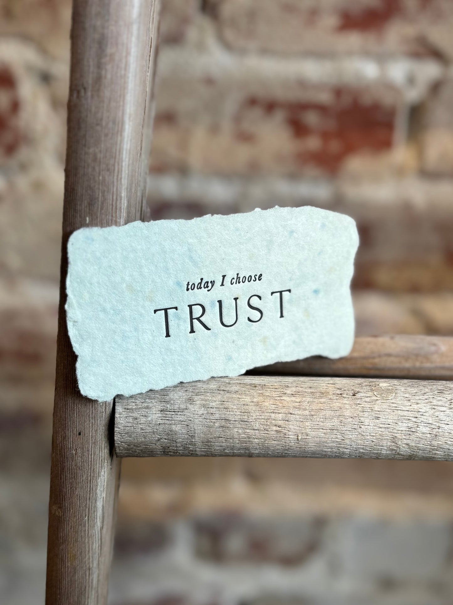 Today I Choose Trust