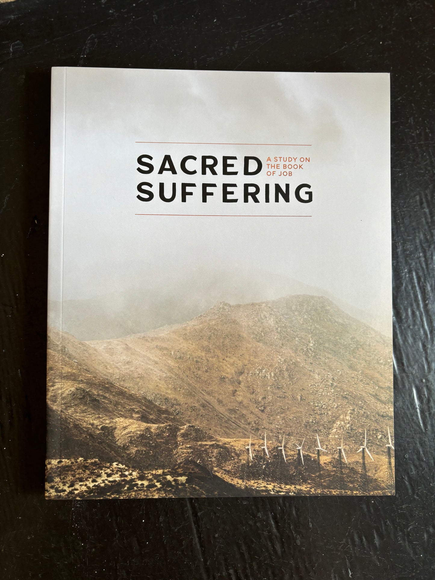 Sacred and Suffering - A Men's Study on the Book of Job