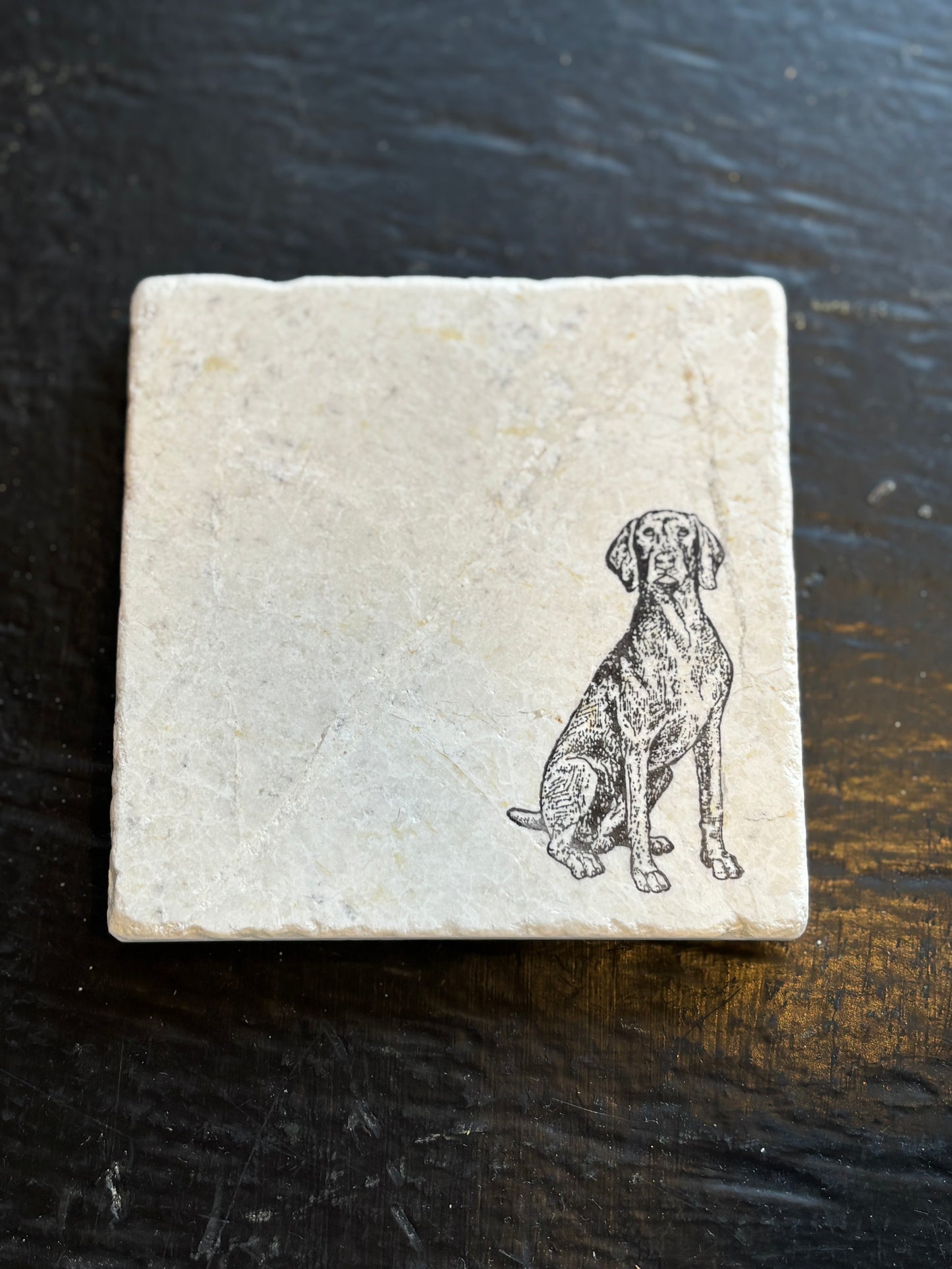 Weimaraner Marble Coaster