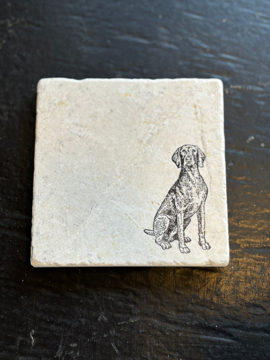 Weimaraner Marble Coaster