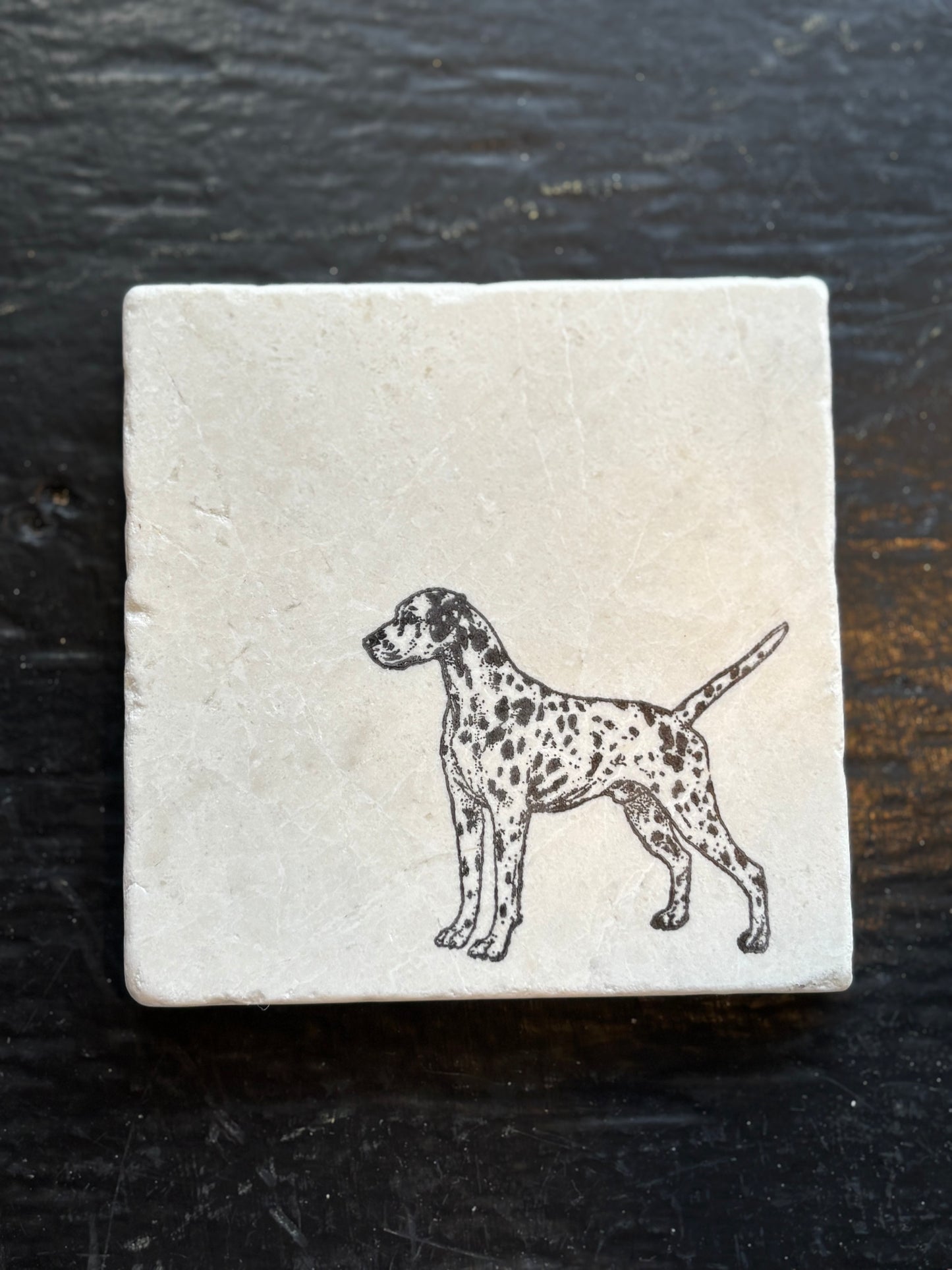 Dalmatian Marble Coaster
