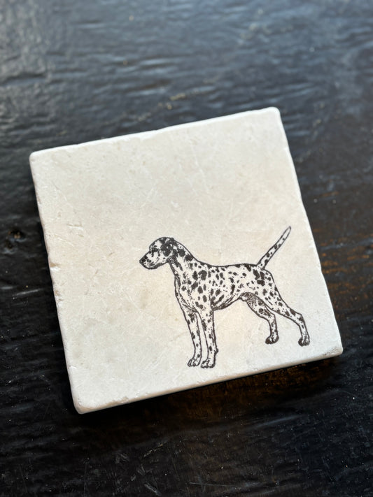 Dalmatian Marble Coaster