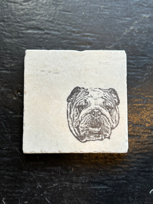 Bulldog Marble Coaster