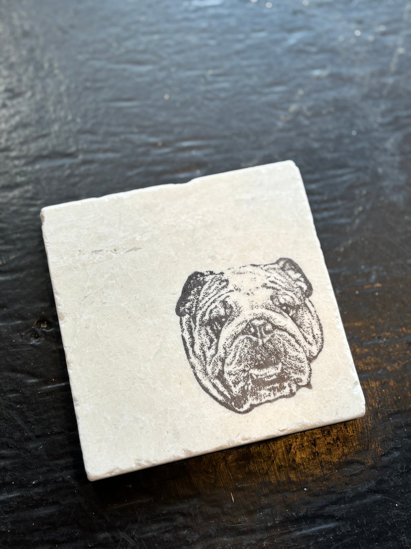 Bulldog Marble Coaster
