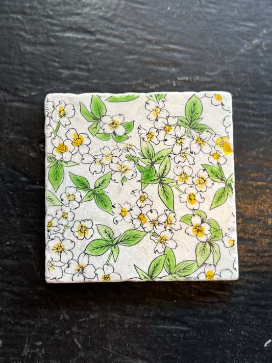 Dogwood Flower Marble Coaster