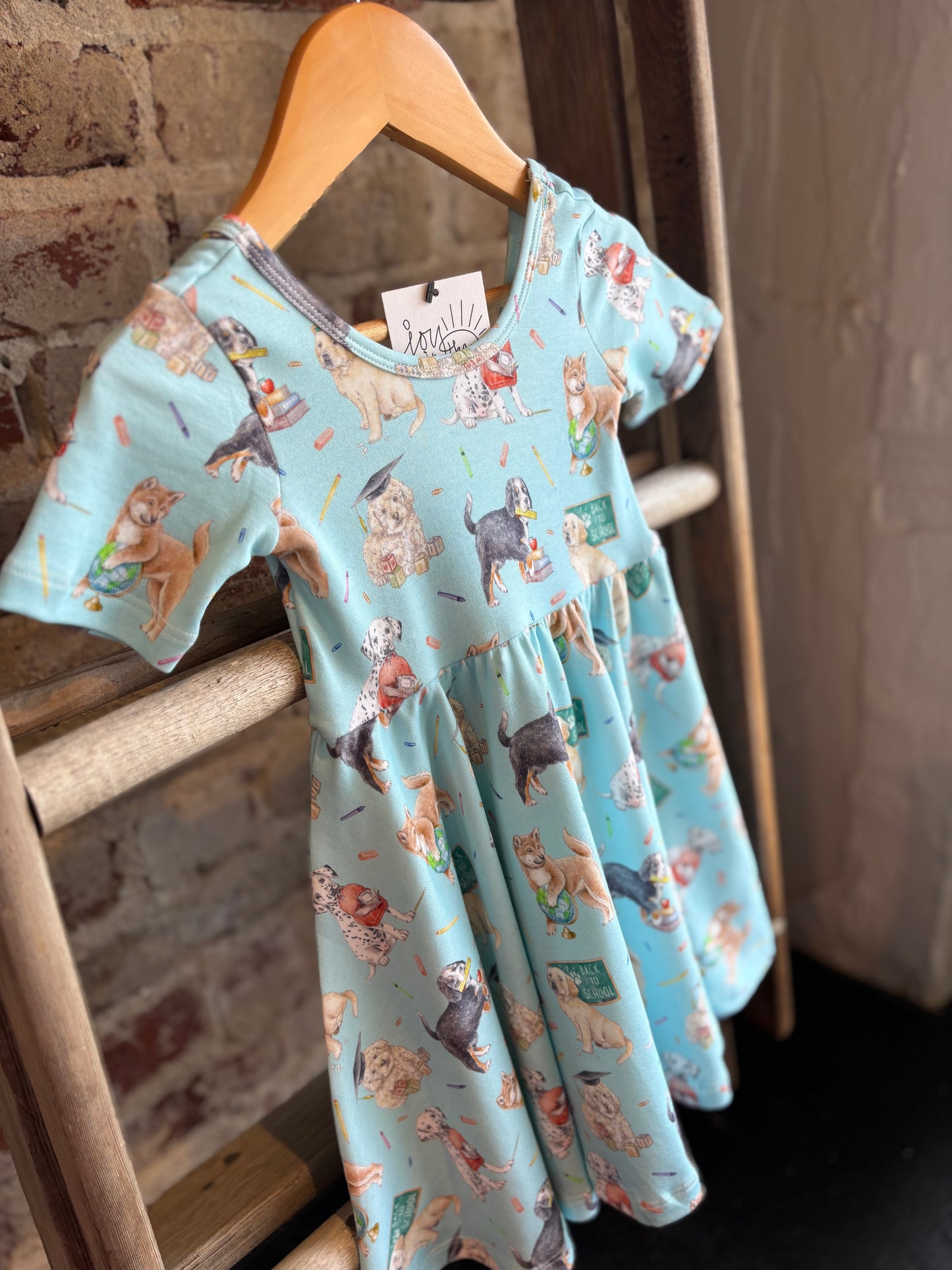 Bark to School Twirl Dress- Toddler/Youth
