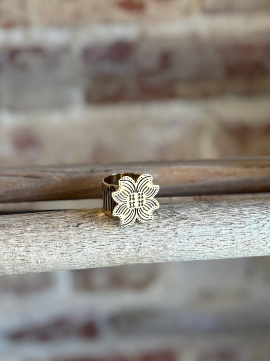Amy Brass Bandana Slide
