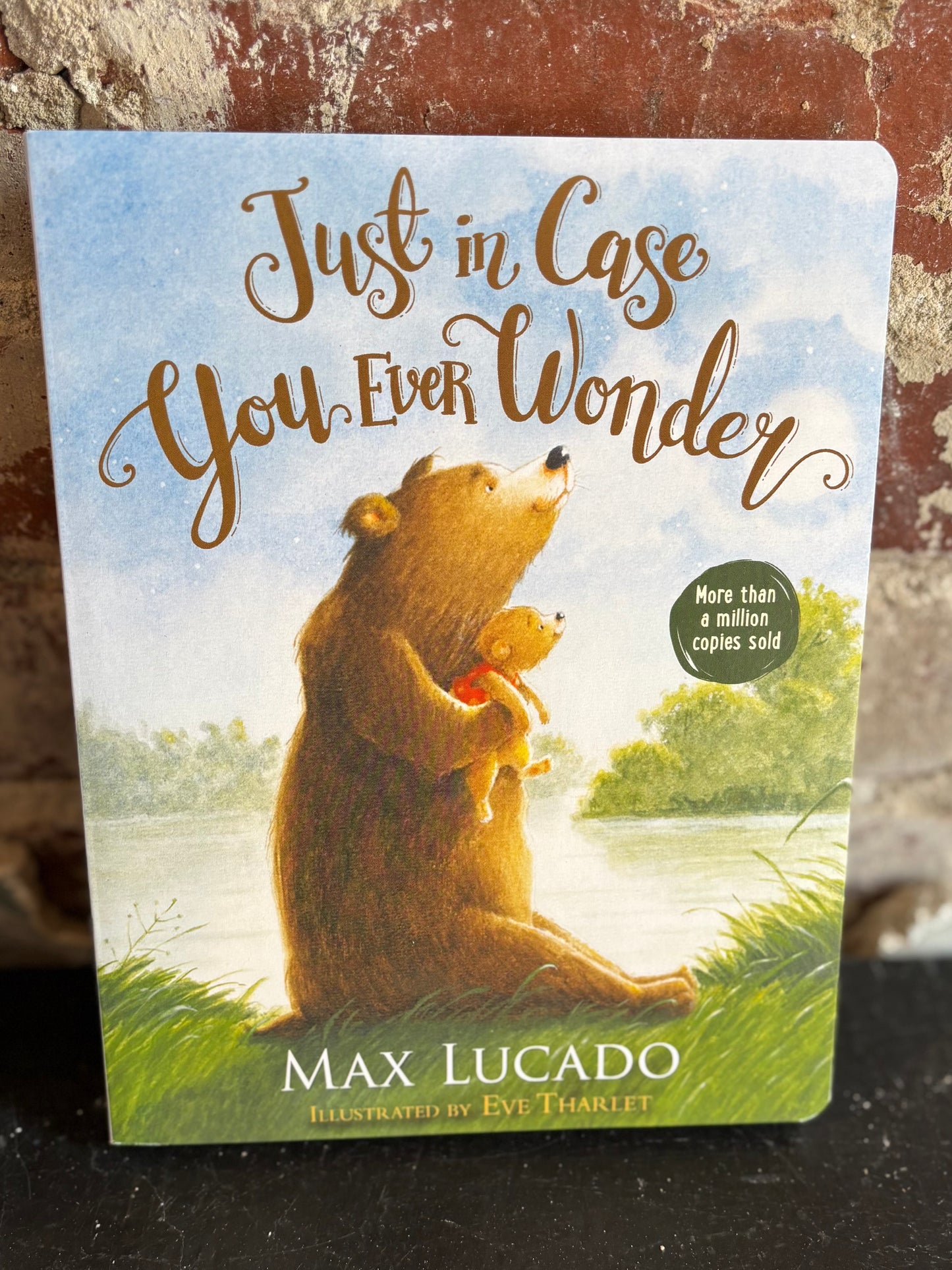 Just in Case You Ever Wonder Board Book