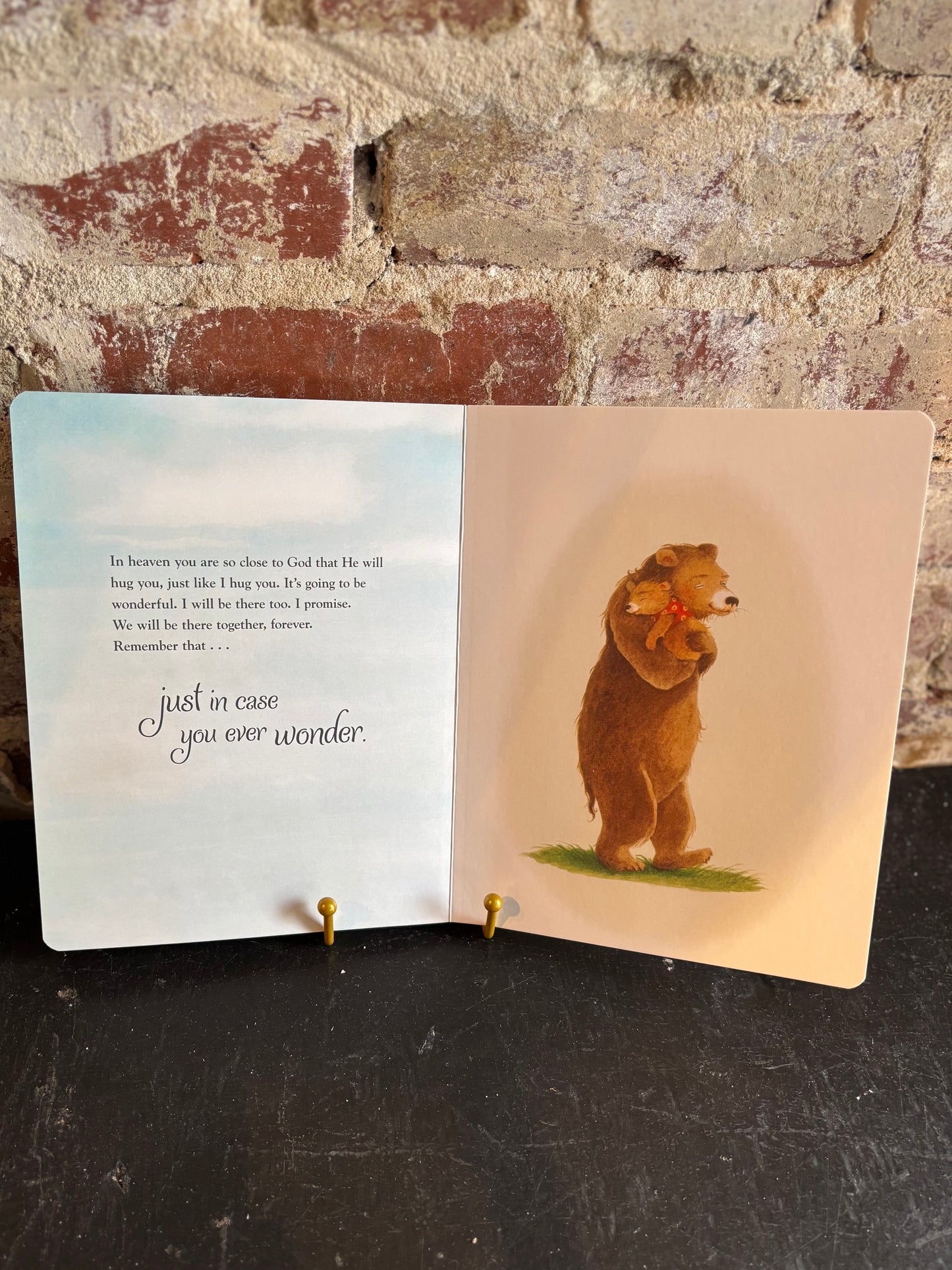 Just in Case You Ever Wonder Board Book