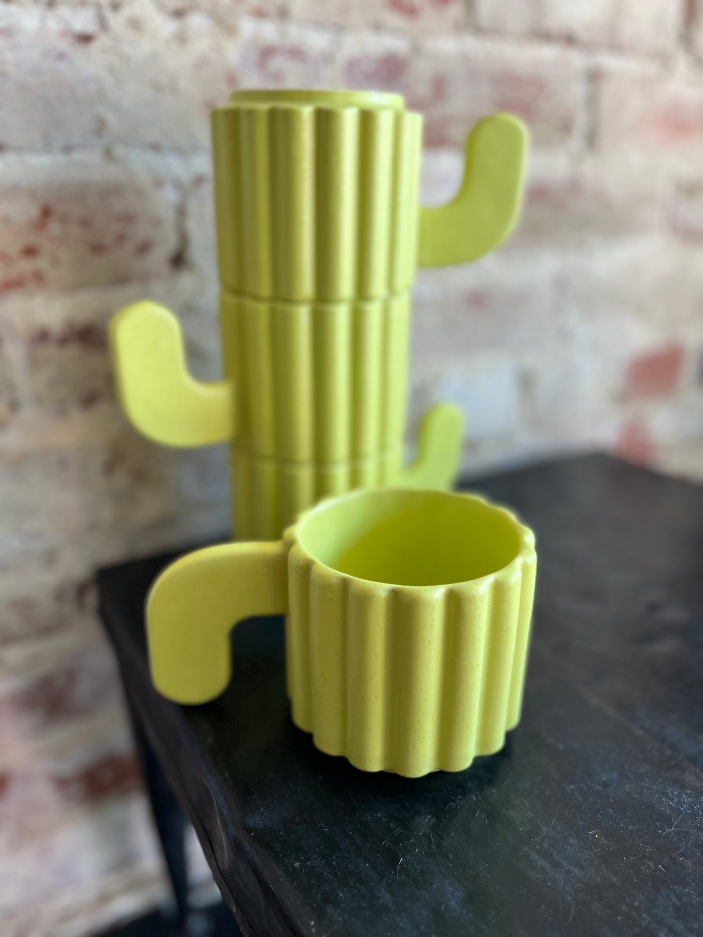 Cactus Mug Set- Green