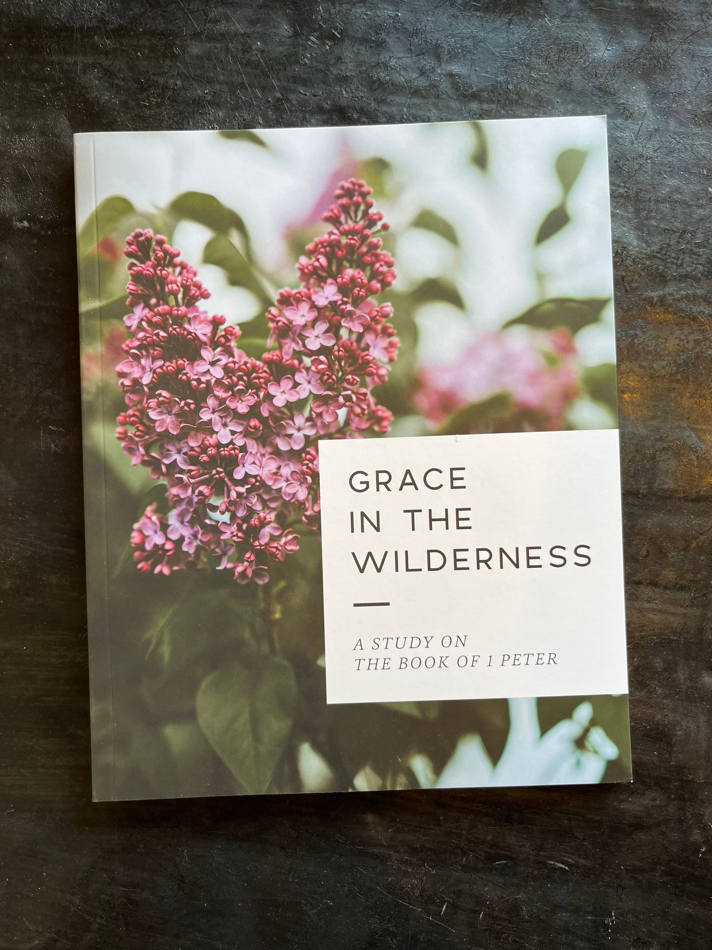 Grace in the Wilderness Study